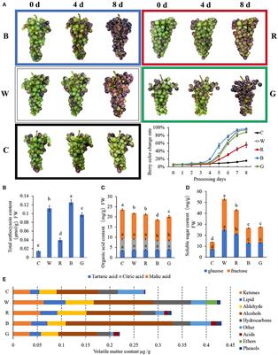 Transcriptomic and Metabolomic Profiling Reveals the Effect of LED Light Quality on Fruit Ripening and Anthocyanin Accumulation in Cabernet Sauvignon Grape
